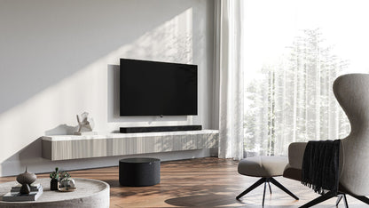 Buy Loewe Bild I.48 DR+ – 48-Inch OLED TV with Built-in Recorder