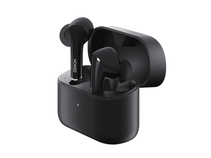 Denon Noise Cancelling Earbuds
