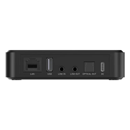 LP10 AirPlay 2 and Google Cast Music Streamer