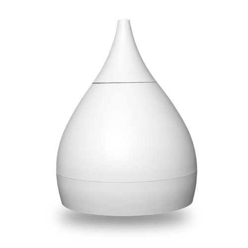 BD-8